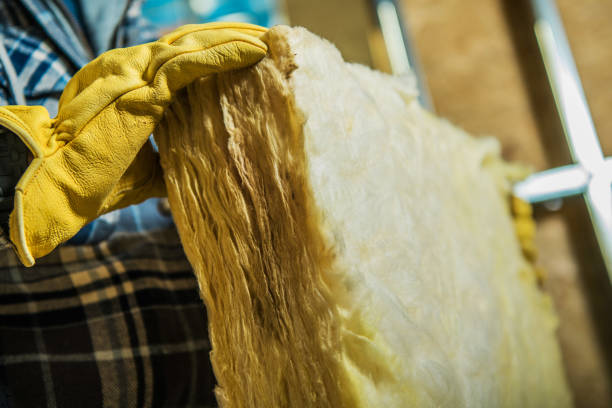 Best DIY Insulation Kits and Guidance in Botkins, OH